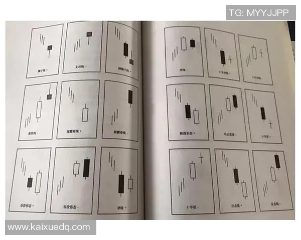 网球战术解析:探秘北京网球队的阵地战体系与实战应用 网球战术解析:探秘北京网球队的阵地战体系与实战应用