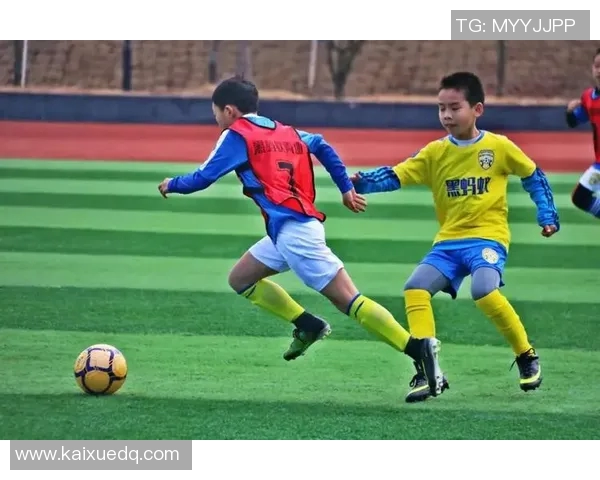 蚂蚁足球明星球员的成长之路与赛场精彩瞬间回顾 蚂蚁足球明星球员的成长之路与赛场精彩瞬间回顾